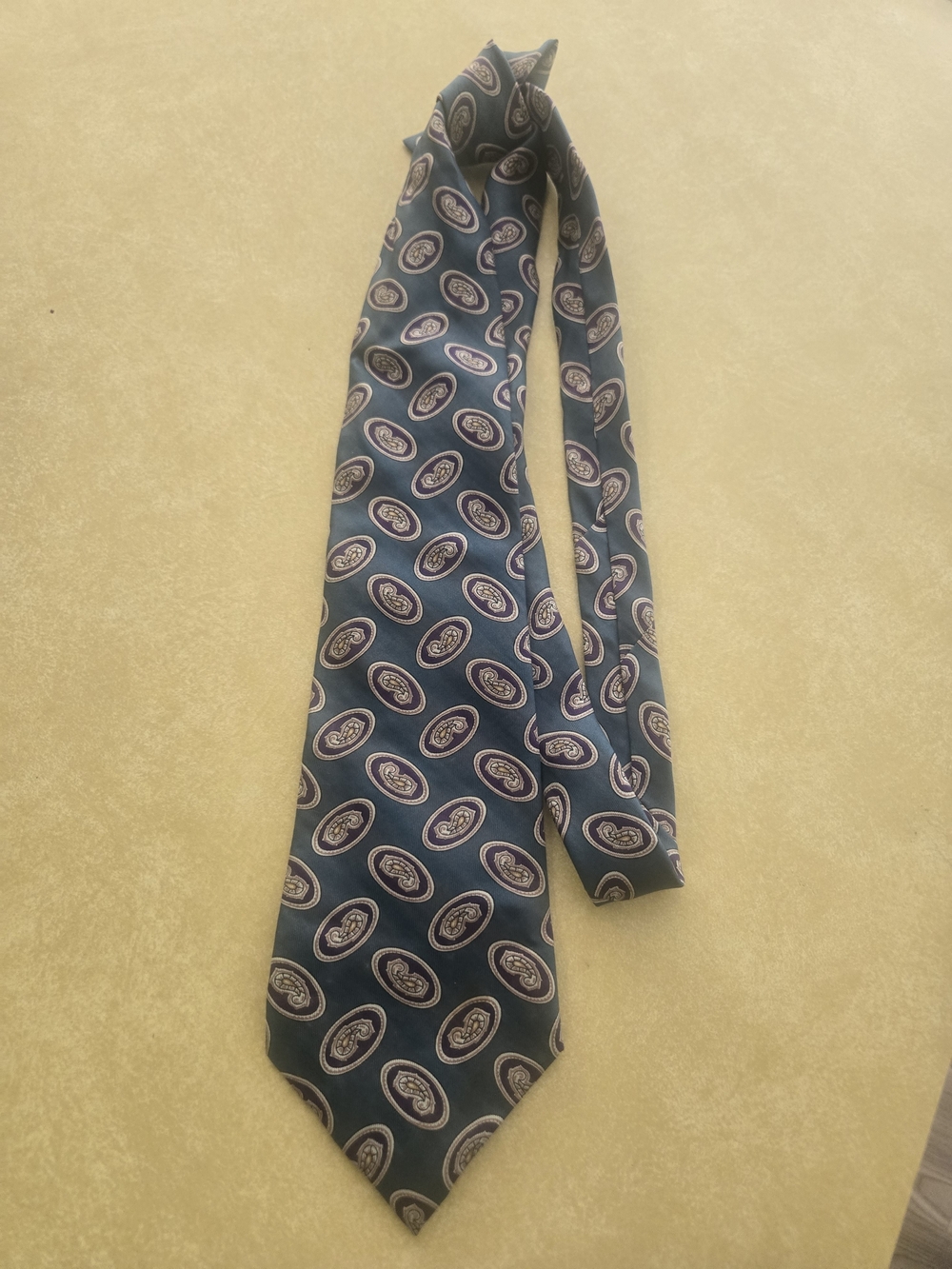 Men's Paisley Medallion Tie in Teal